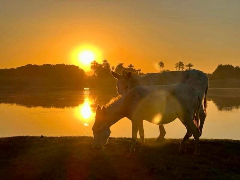 Miss Fatima Dahabiya Itinerary (14)